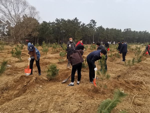 3月12日，威海经区法院前往逍遥湖东岸开展义务植树活动。党组成员、政治部主任田涛同志带领20余名干警参加了活动。5